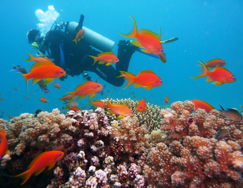 туристическая страховка